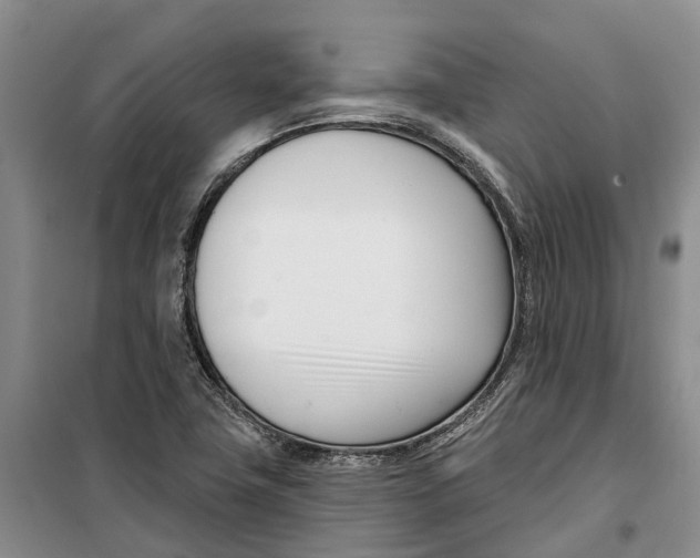 X0000099441411200805301441
