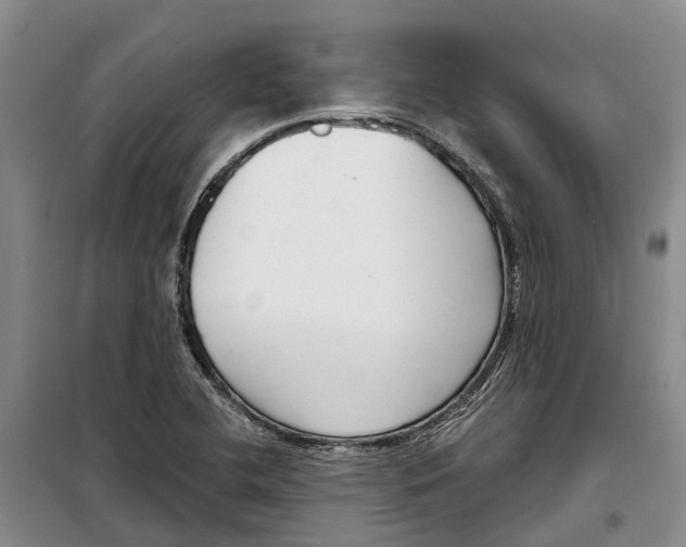X0000099441412200805301441