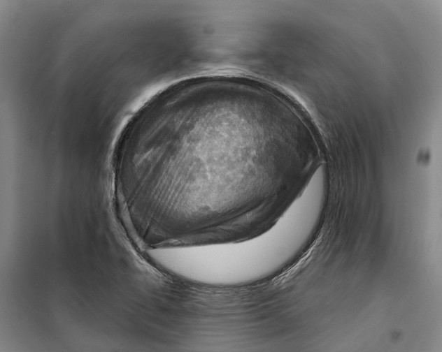 X0000099441414200805301441