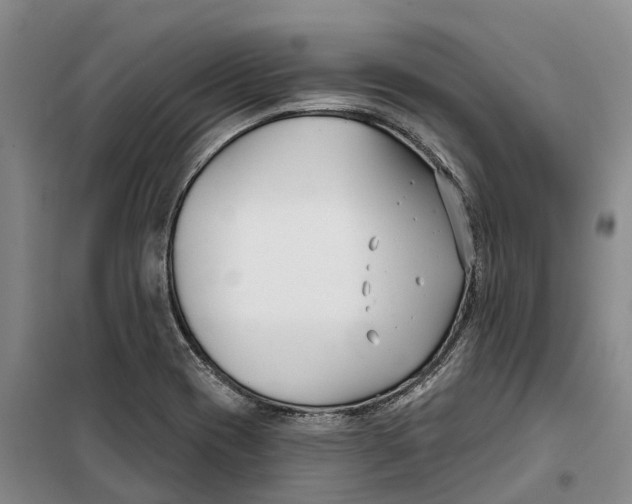 X0000099441417200805301441
