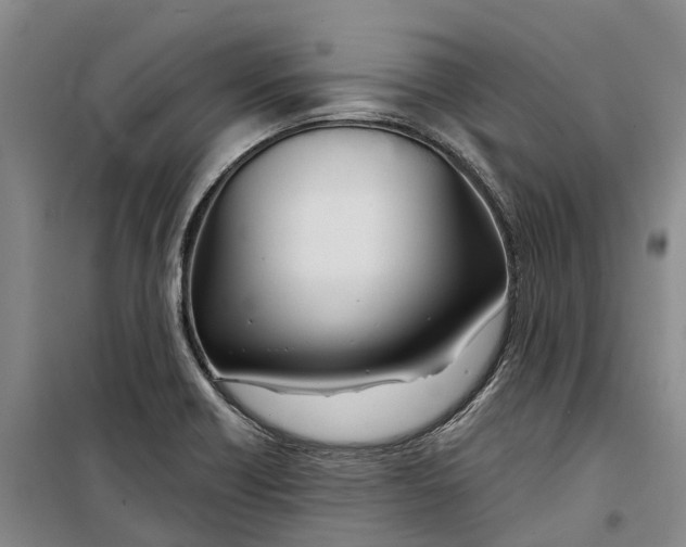 X0000099441418200805301441