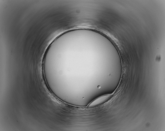X0000099441423200805301441