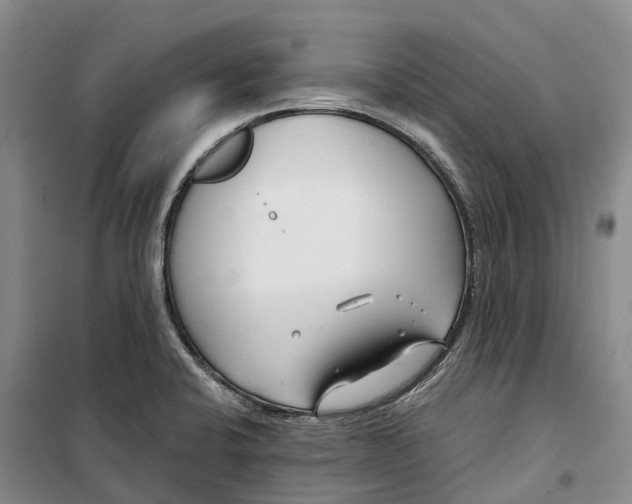 X0000099441424200805301441