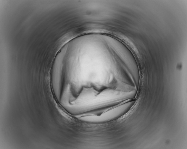 X0000099441425200805301441