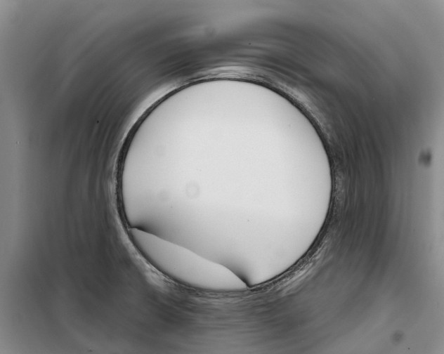 X0000099441426200805301441