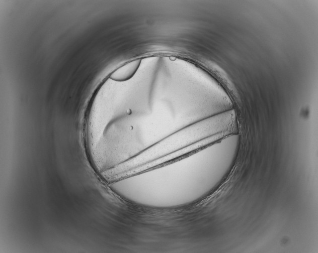 X0000099441427200805301441