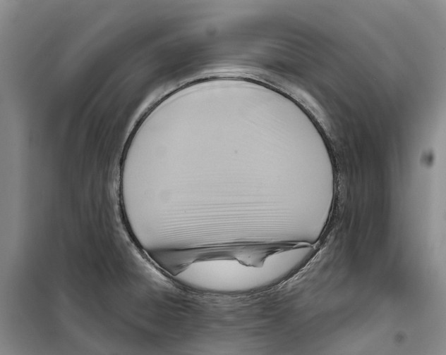 X0000099441428200805301441