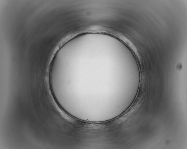 X0000099441429200805301441