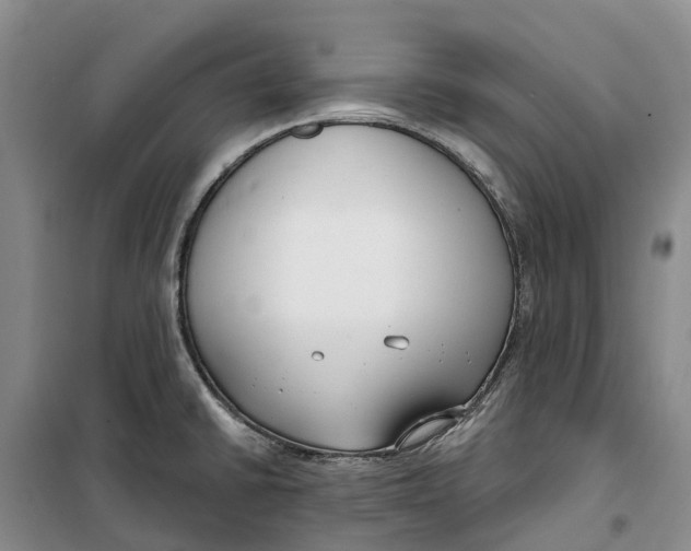 X0000099441430200805301441