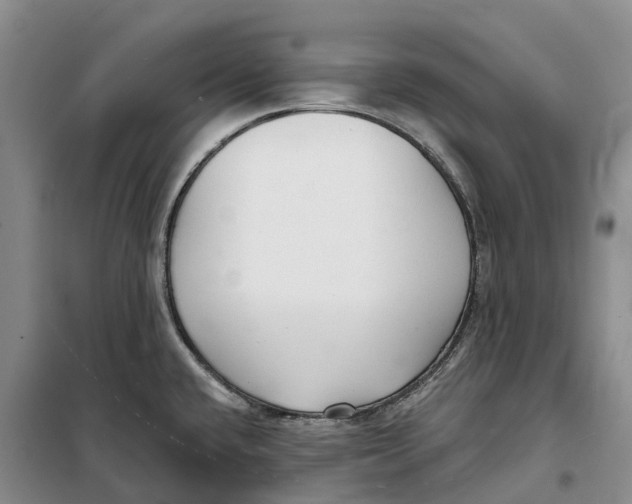X0000099441432200805301441