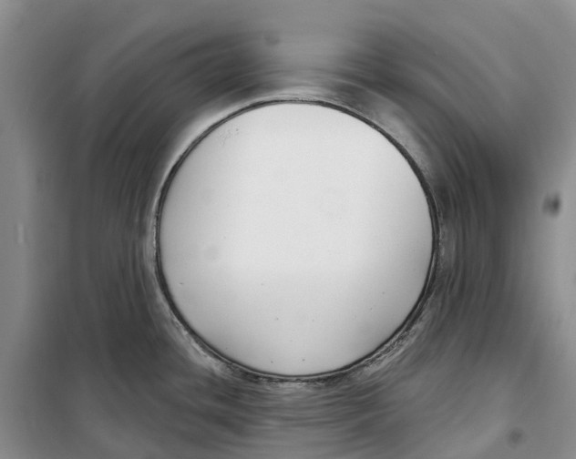 X0000099441436200805301441