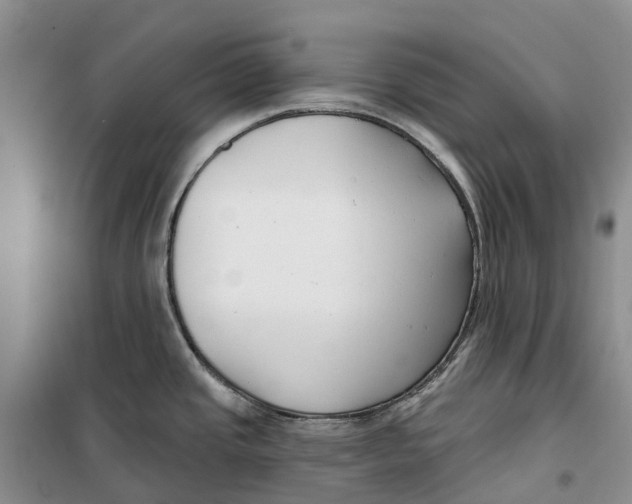 X0000099441437200805301441