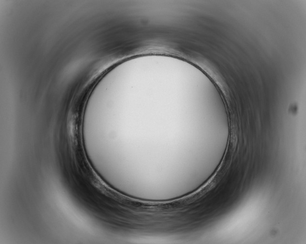 X0000099441438200805301441