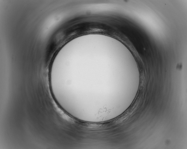 X0000099441439200805301441