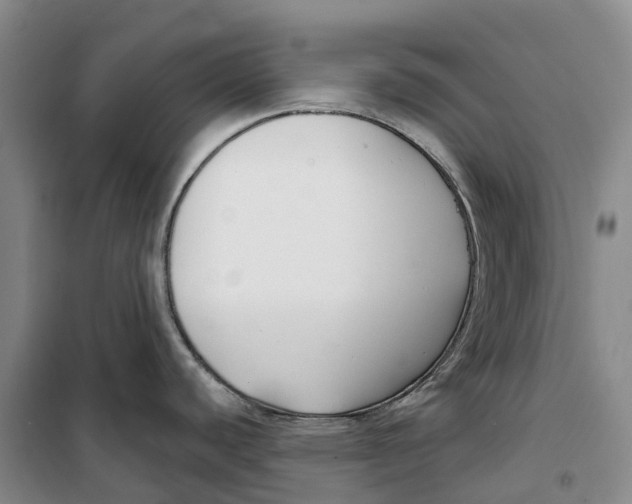 X0000099441440200805301441