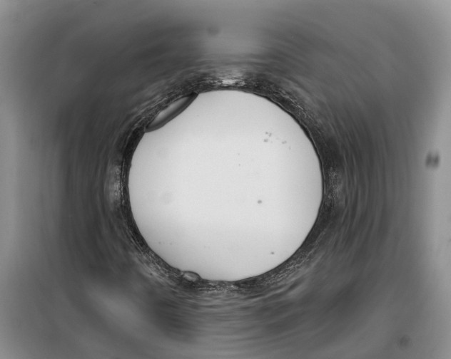 X0000099441442200805301440