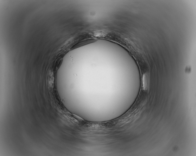 X0000099441443200805301440