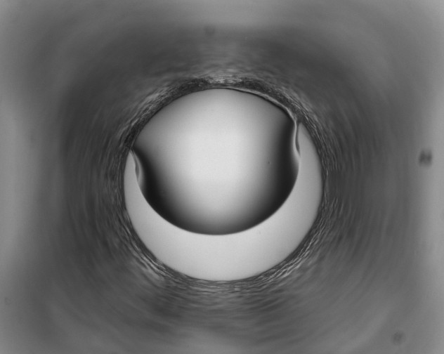 X0000099441444200805301440
