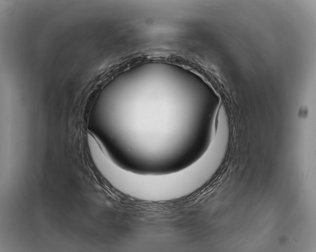 X0000099441445200805301440