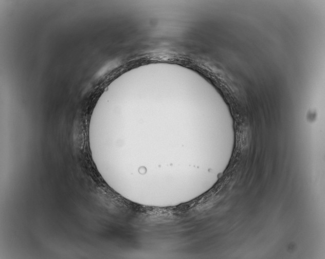 X0000099441446200805301440