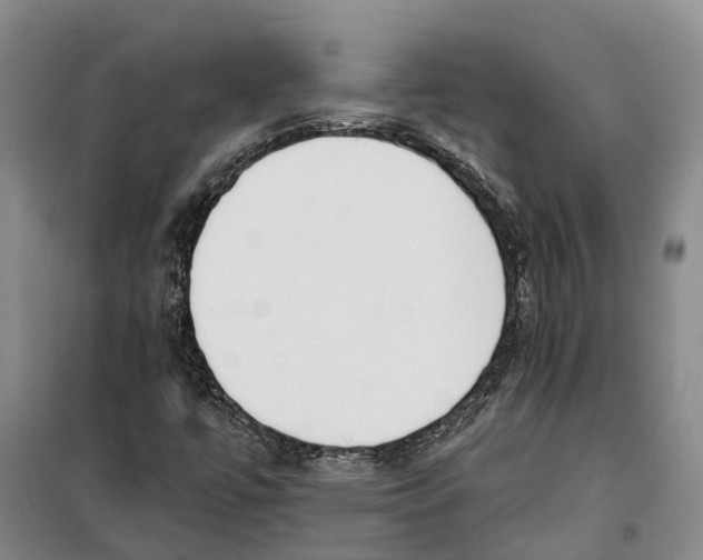 X0000099441447200805301440