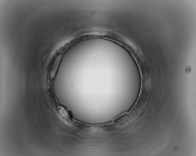 X0000099441448200805301440