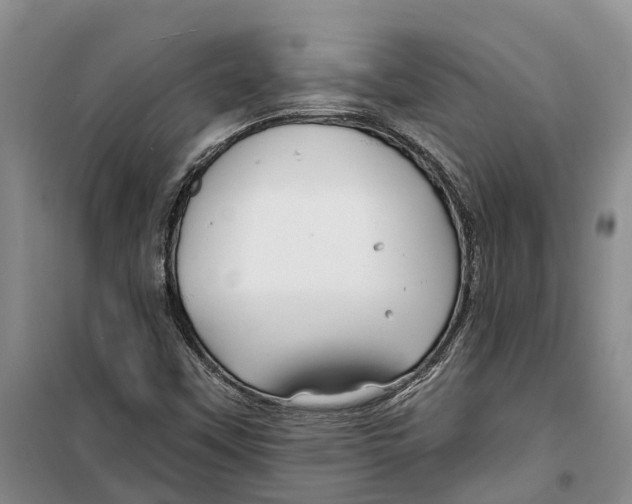 X0000099441451200805301440