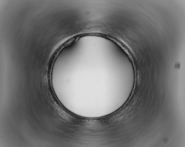 X0000099441452200805301440