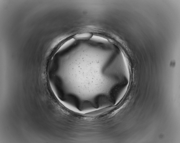 X0000099441453200805301440