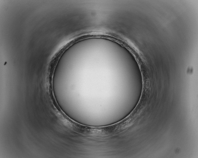 X0000099441456200805301440