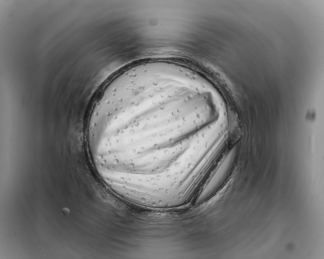 X0000099441457200805301440