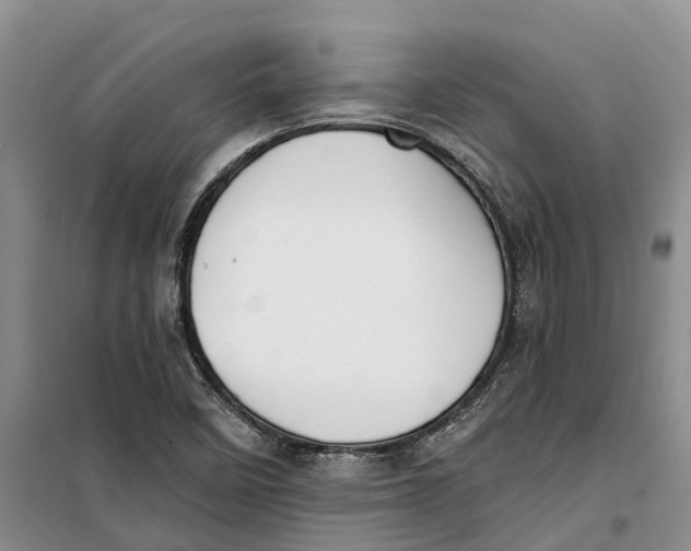 X0000099441458200805301440
