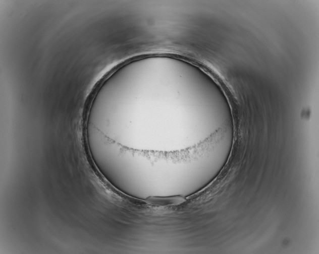 X0000099441460200805301440