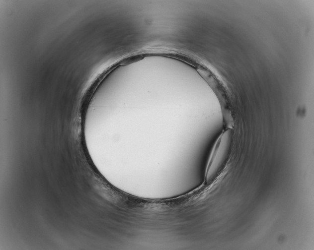 X0000099441461200805301440