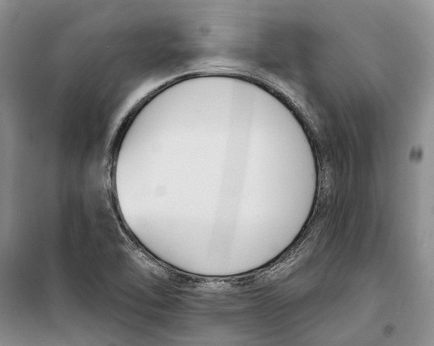 X0000099441462200805301440