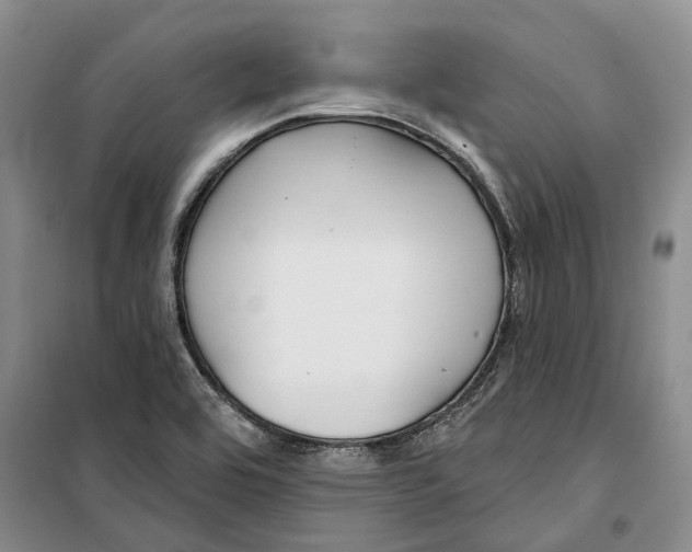 X0000099441464200805301440