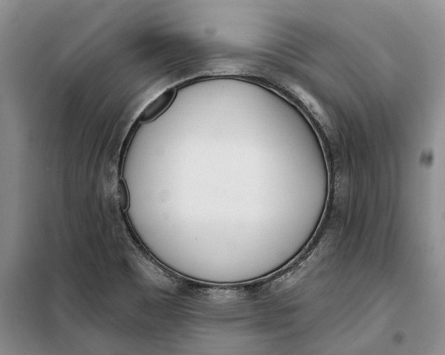 X0000099441465200805301440
