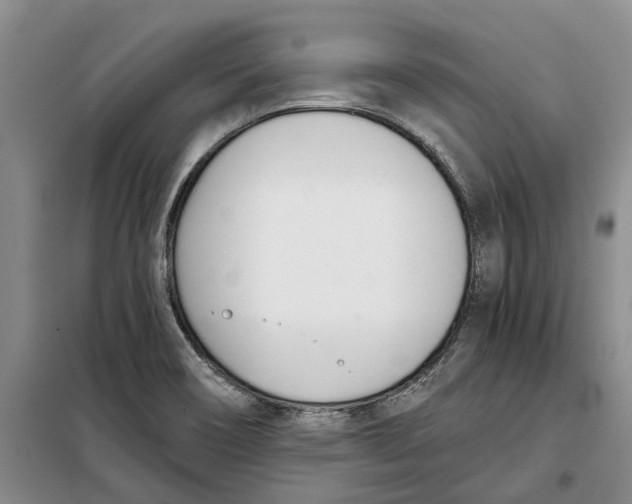 X0000099441466200805301440