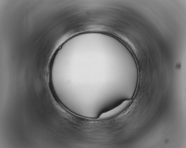 X0000099441467200805301440