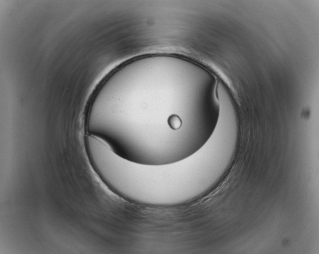 X0000099441468200805301440
