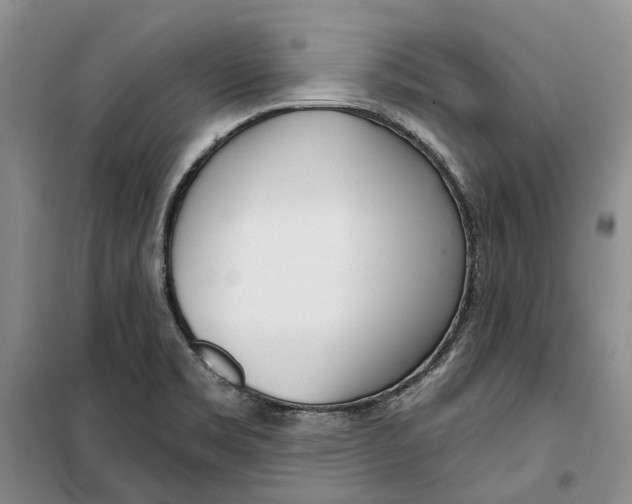 X0000099441469200805301440