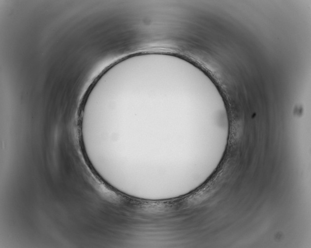 X0000099441470200805301440