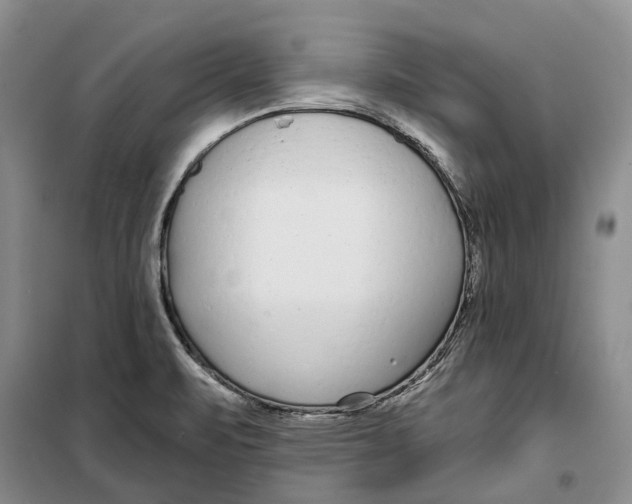 X0000099441471200805301440