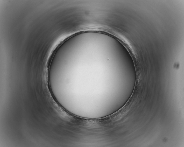 X0000099441472200805301440