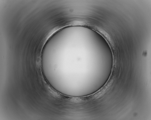 X0000099441473200805301440