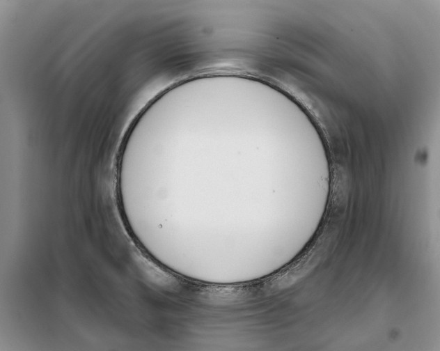 X0000099441474200805301440