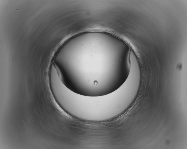 X0000099441476200805301440