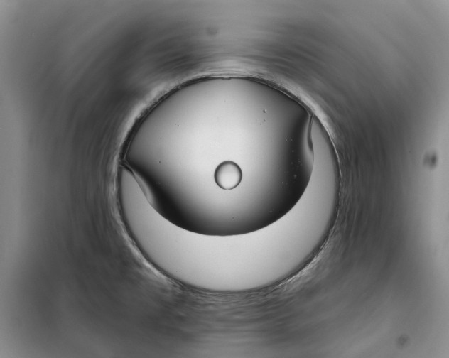 X0000099441477200805301440