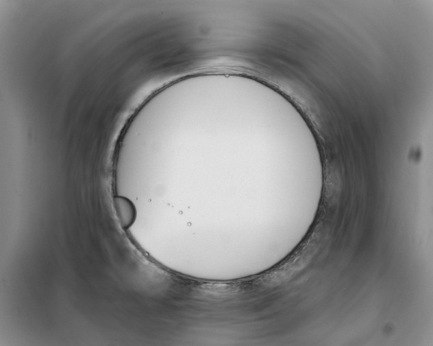 X0000099441478200805301440