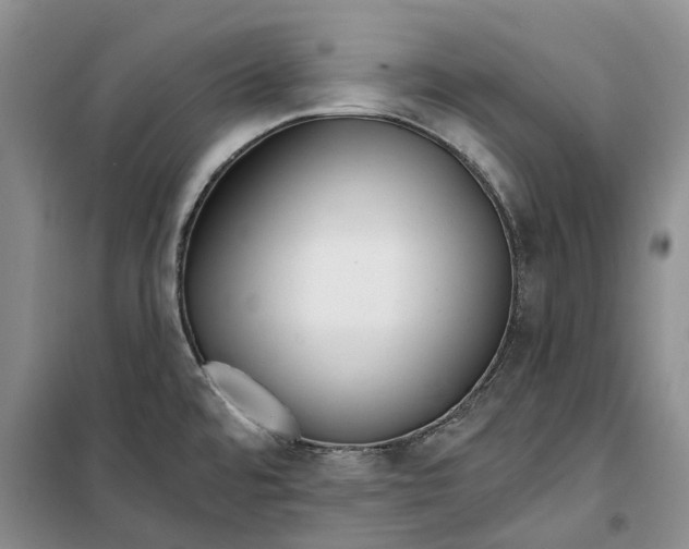 X0000099441480200805301440
